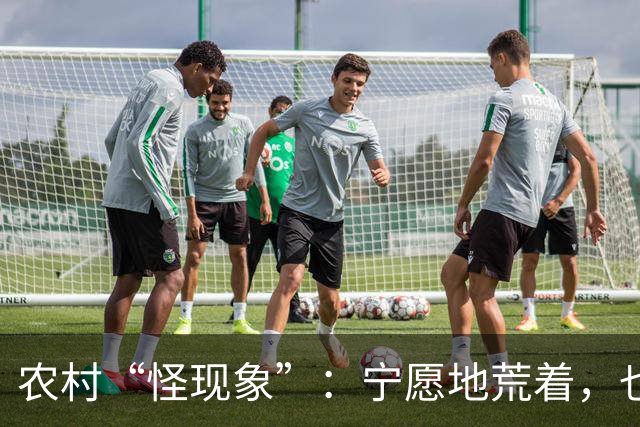 农村“怪现象”：宁愿地荒着，也不种粮食，把专家气够呛，咋回事