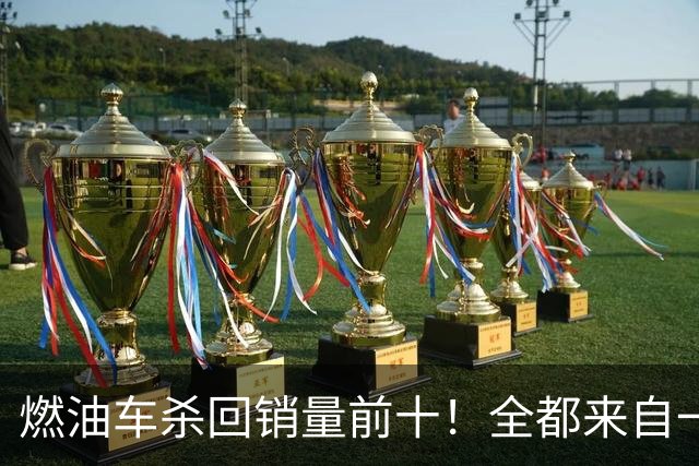 燃油车杀回销量前十！全都来自一个品牌，也是燃油车最后独苗
